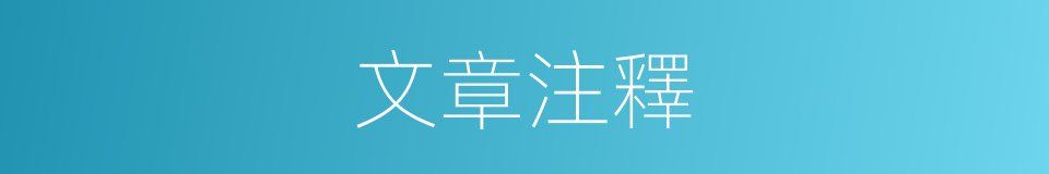 文章注釋的意思