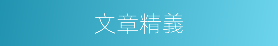 文章精義的同義詞