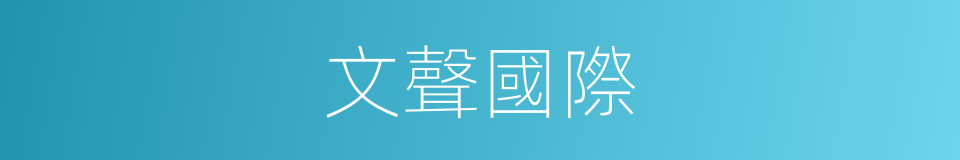 文聲國際的同義詞