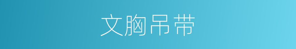 文胸吊带的同义词