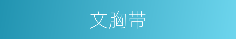 文胸带的同义词