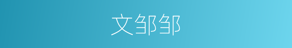 文邹邹的意思