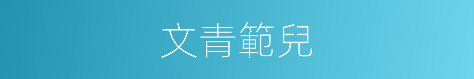 文青範兒的同義詞