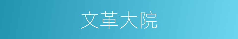 文革大院的同义词