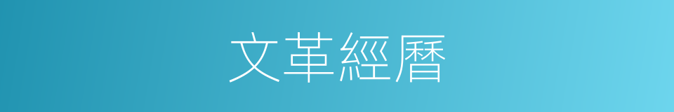 文革經曆的同義詞