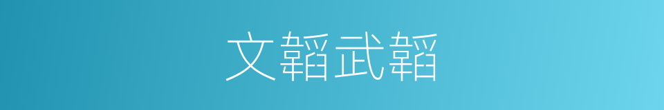 文韜武韜的意思