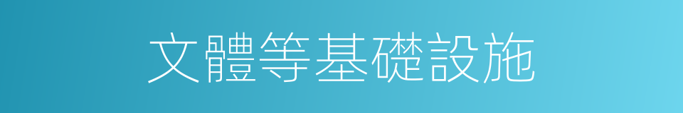 文體等基礎設施的同義詞