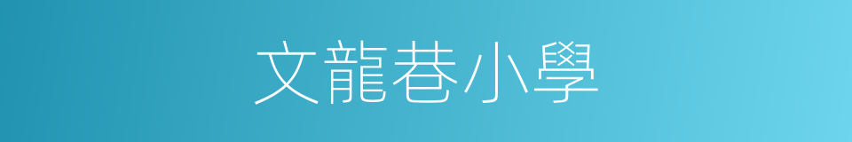 文龍巷小學的同義詞