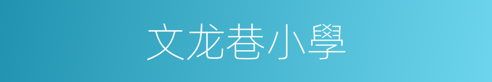 文龙巷小學的同義詞