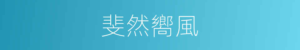斐然嚮風的同義詞