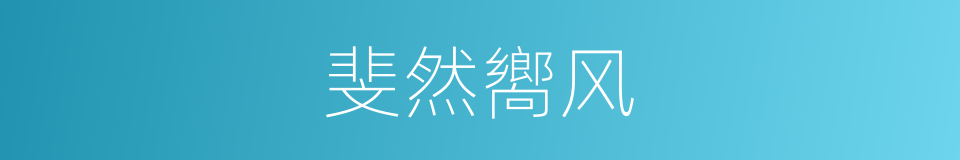 斐然嚮风的同义词