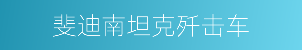 斐迪南坦克歼击车的同义词