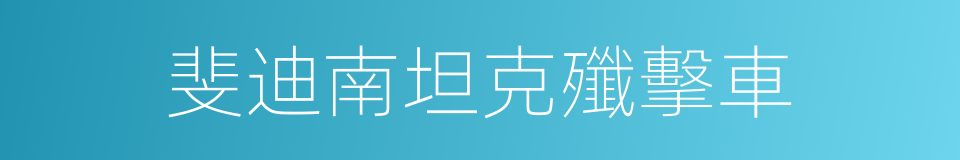 斐迪南坦克殲擊車的同義詞