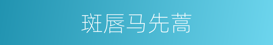 斑唇马先蒿的同义词
