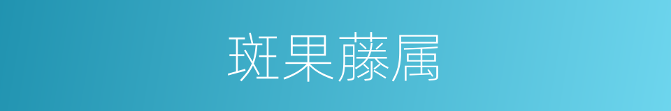 斑果藤属的同义词