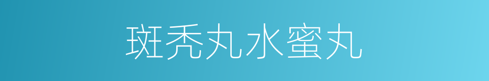 斑秃丸水蜜丸的同义词