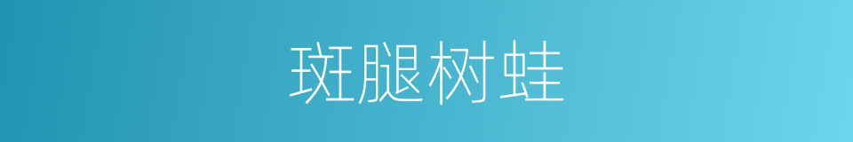 斑腿树蛙的同义词