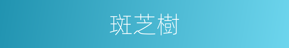 斑芝樹的同義詞