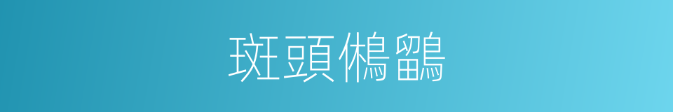 斑頭鵂鶹的同義詞