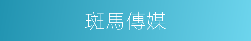 斑馬傳媒的同義詞