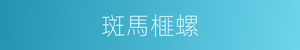 斑馬榧螺的同義詞