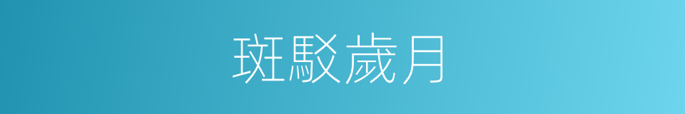 斑駁歲月的同義詞
