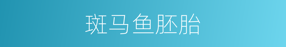 斑马鱼胚胎的同义词