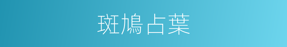 斑鳩占葉的同義詞