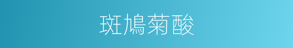 斑鳩菊酸的同義詞