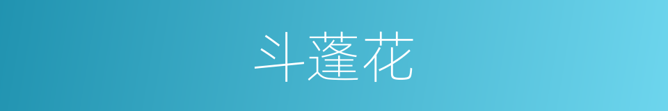 斗蓬花的同义词