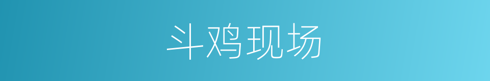 斗鸡现场的同义词
