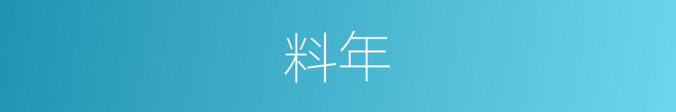 料年的同义词
