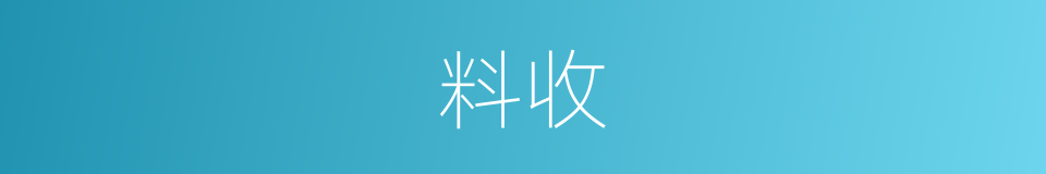 料收的同义词