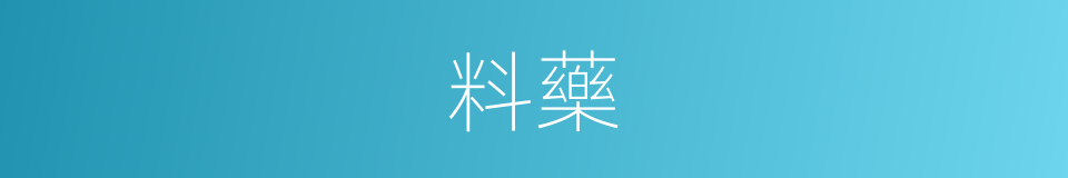 料藥的同義詞