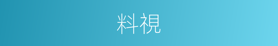 料視的意思