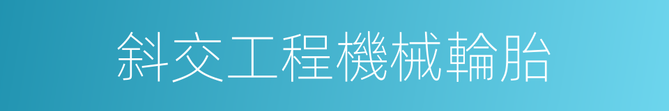 斜交工程機械輪胎的同義詞