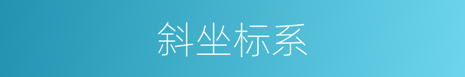 斜坐标系的同义词