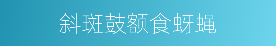 斜斑鼓额食蚜蝇的同义词