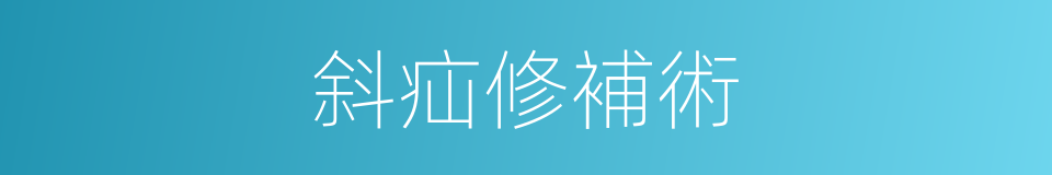 斜疝修補術的同義詞
