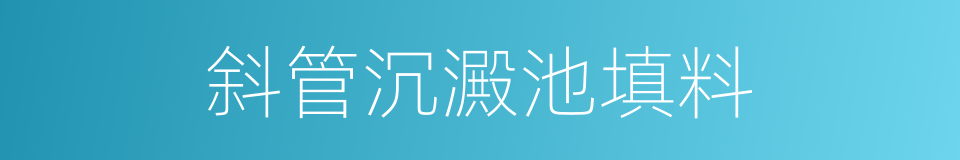 斜管沉澱池填料的同義詞