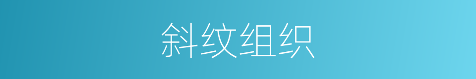 斜纹组织的意思