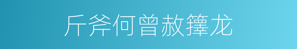 斤斧何曾赦籜龙的同義詞