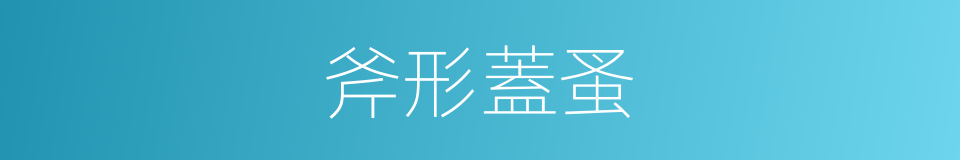斧形蓋蚤的同義詞