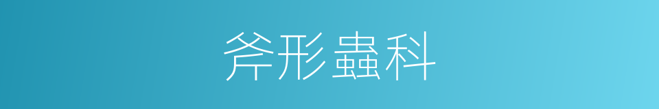 斧形蟲科的同義詞