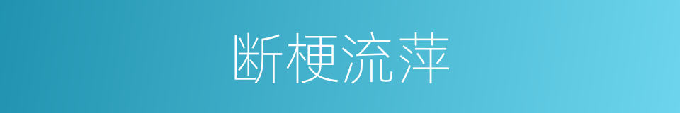断梗流萍的意思