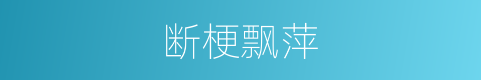 断梗飘萍的意思