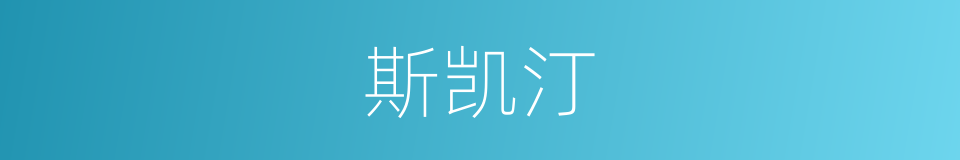 斯凯汀的同义词