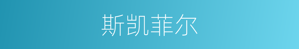 斯凯菲尔的同义词