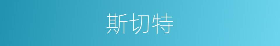 斯切特的同义词