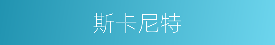 斯卡尼特的同义词